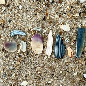 Meet your Posher, Shanon